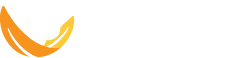 Lip+Tongue Tie Clinic logo